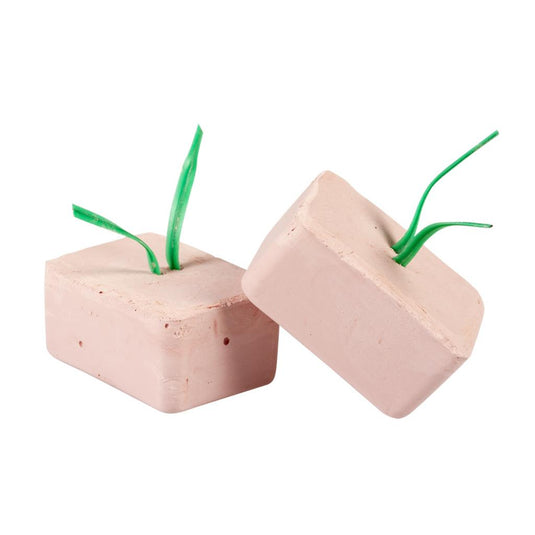 Witte Molen Iodine Block for Birds - Exotic Wings and Pet Things