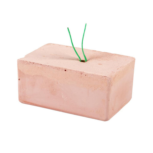 Witte Molen Iodine Block for Budgie/Bird