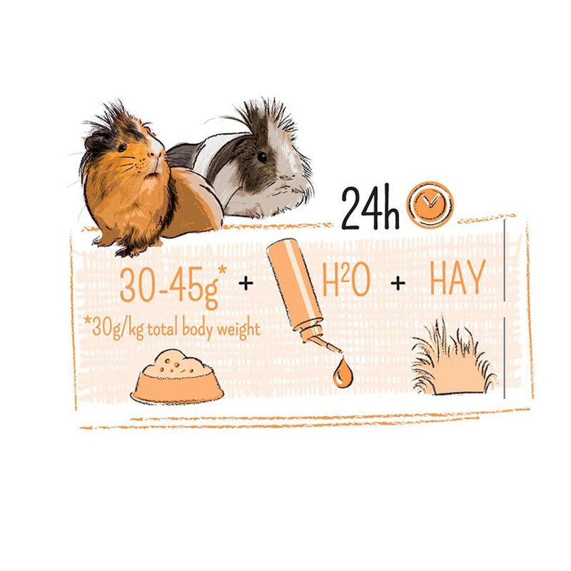 Load image into Gallery viewer, Witte Molen Puur Guinea Pig Sensitive Food