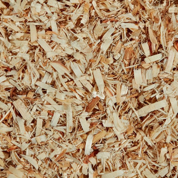 Aspen shavings Clearance