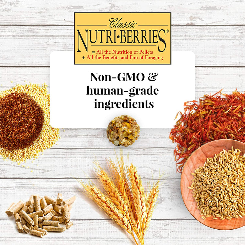 Load image into Gallery viewer, Lafeber's Classic Nutri-Berries Macaw/Cockatoo