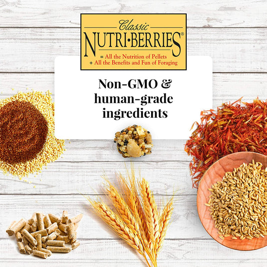 Lafeber's Classic Nutri-Berries for Parrots - Exotic Wings and Pet Things