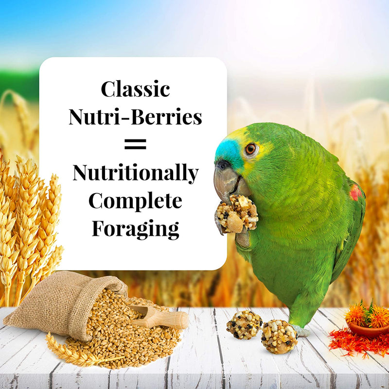 Load image into Gallery viewer, Lafeber's Classic Nutri-Berries for Parrots - Exotic Wings and Pet Things