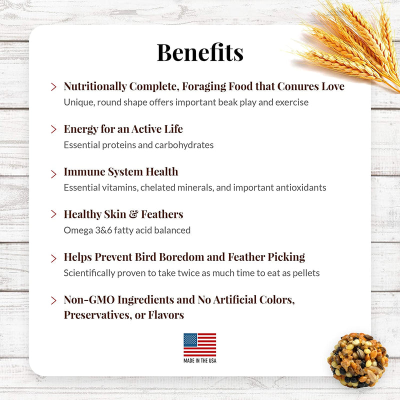 Load image into Gallery viewer, Lafeber's Classic Nutri-Berries for Conures 11oz - Exotic Wings and Pet Things