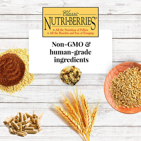 Lafeber's Classic Nutri-Berries for Small Birds - Exotic Wings and Pet Things