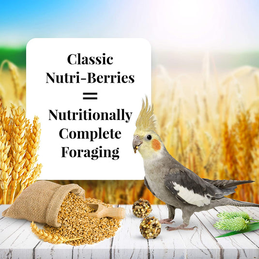 Lafeber's Classic Nutri-Berries for Small Birds - Exotic Wings and Pet Things