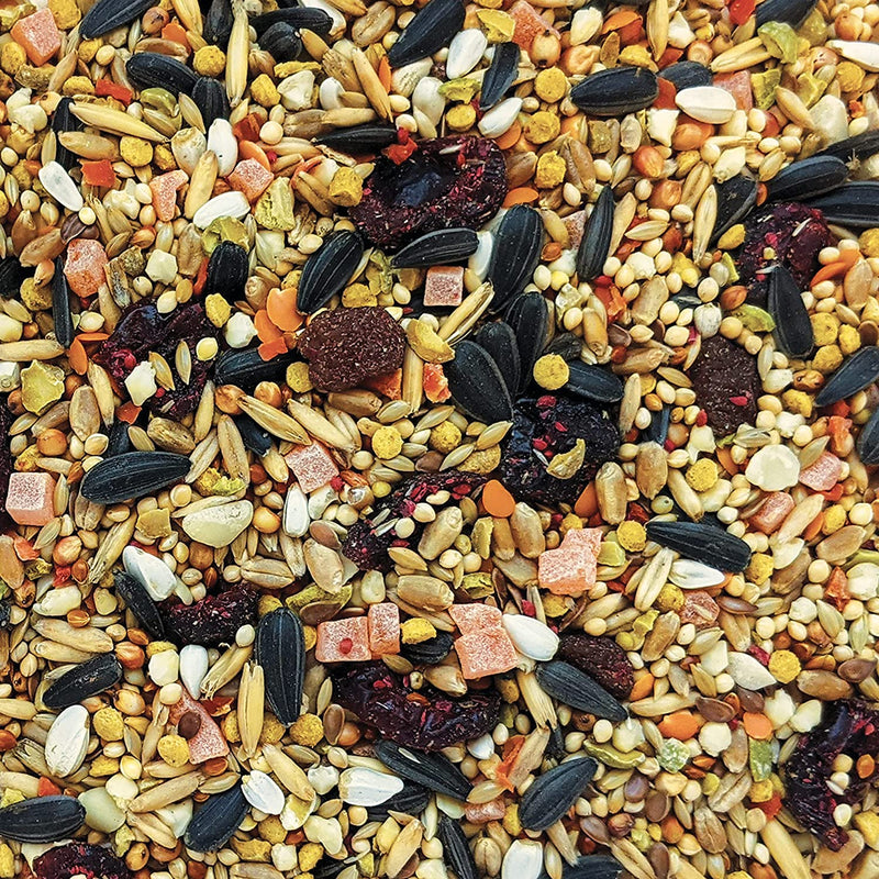 Load image into Gallery viewer, Gourmet Premium Seed Mix - Cockatiels 🍁