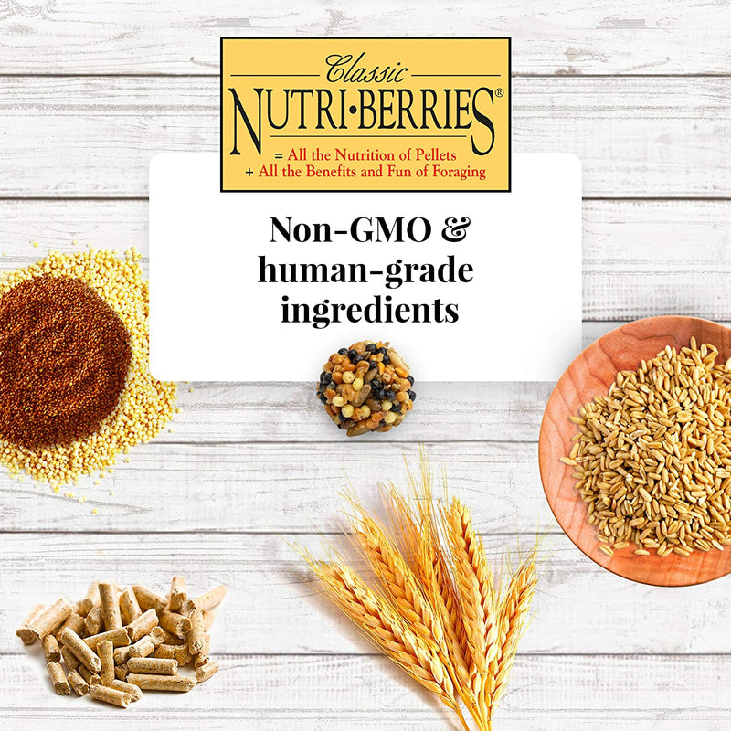 Load image into Gallery viewer, Lafeber's Classic Nutri-Berries for Conures 11oz - Exotic Wings and Pet Things