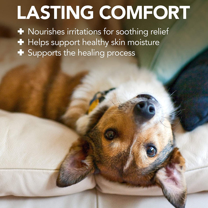 Load image into Gallery viewer, Hot Spot Shampoo Dog Itch Relief