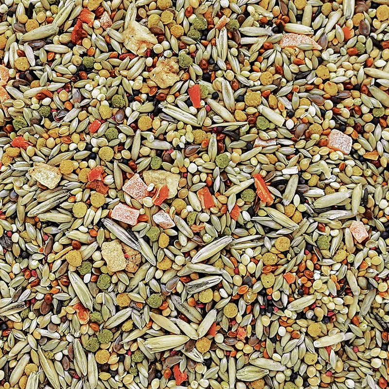 Load image into Gallery viewer, Gourmet Premium Seed Mix - Budgies 🍁