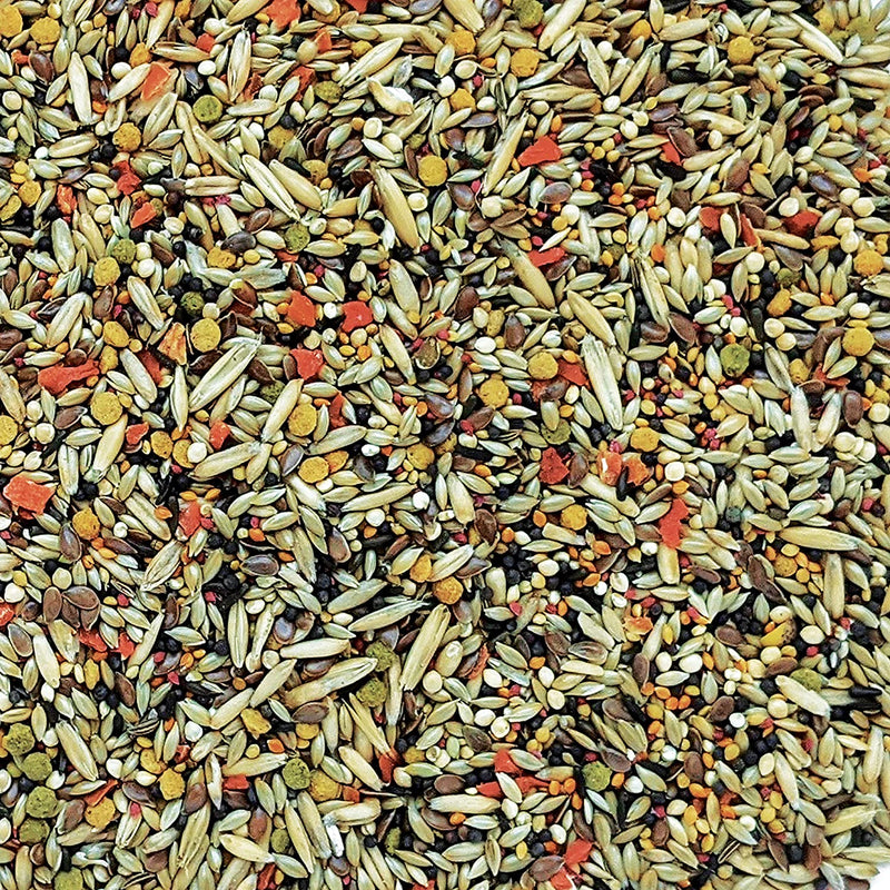 Load image into Gallery viewer, Gourmet Premium Seed Mix - Canary 🍁