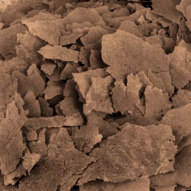 Load image into Gallery viewer, Bug Bites Goldfish Flakes