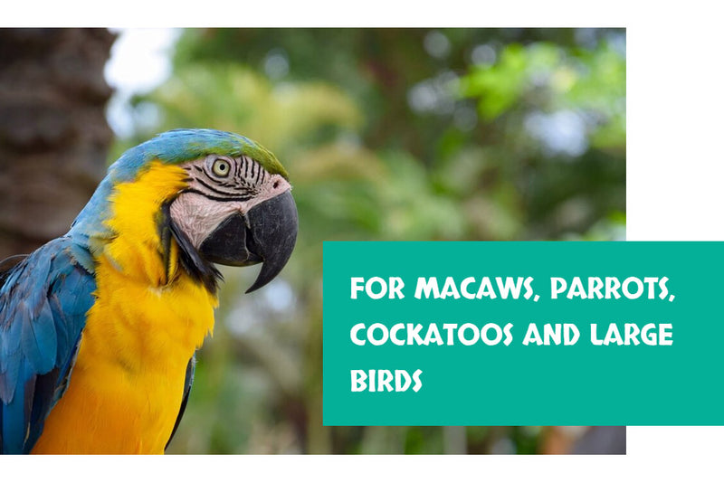 Load image into Gallery viewer, Goldenfeast Amazon Blend