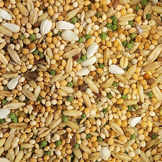 Versele-Laga Premium Prestige African Parakeet Seed