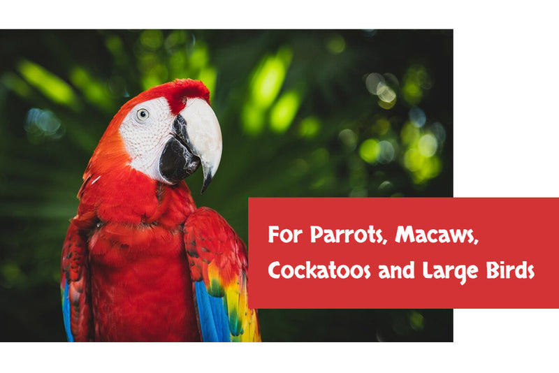 Load image into Gallery viewer, Goldenfeast Bean Supreme