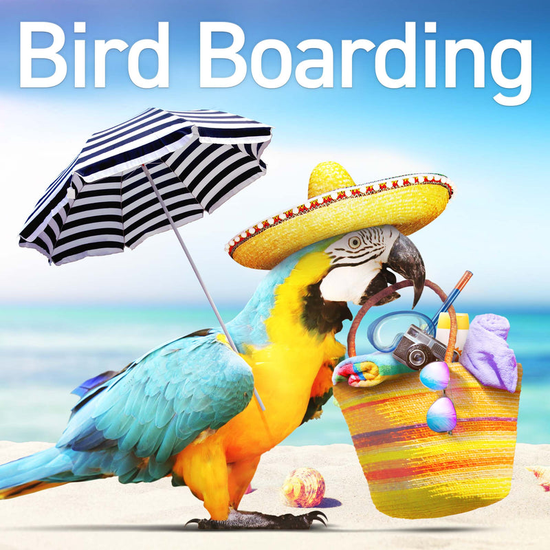 Load image into Gallery viewer, Bird Boarding
