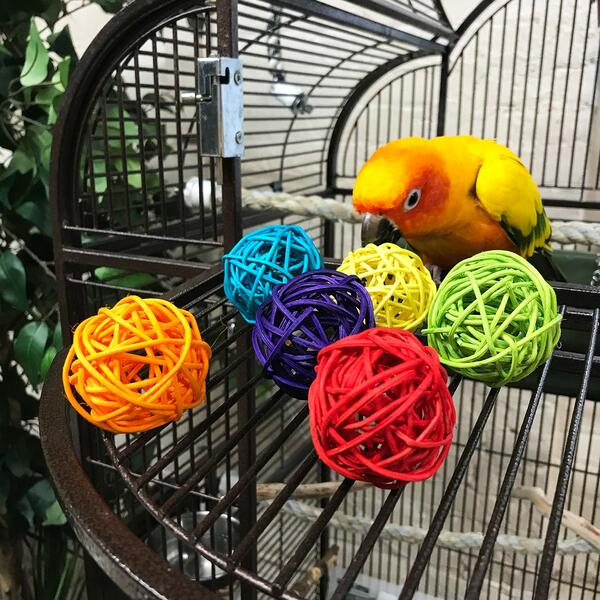 Load image into Gallery viewer, Bird & Small Pet Toy Parts - Coloured Munch Balls