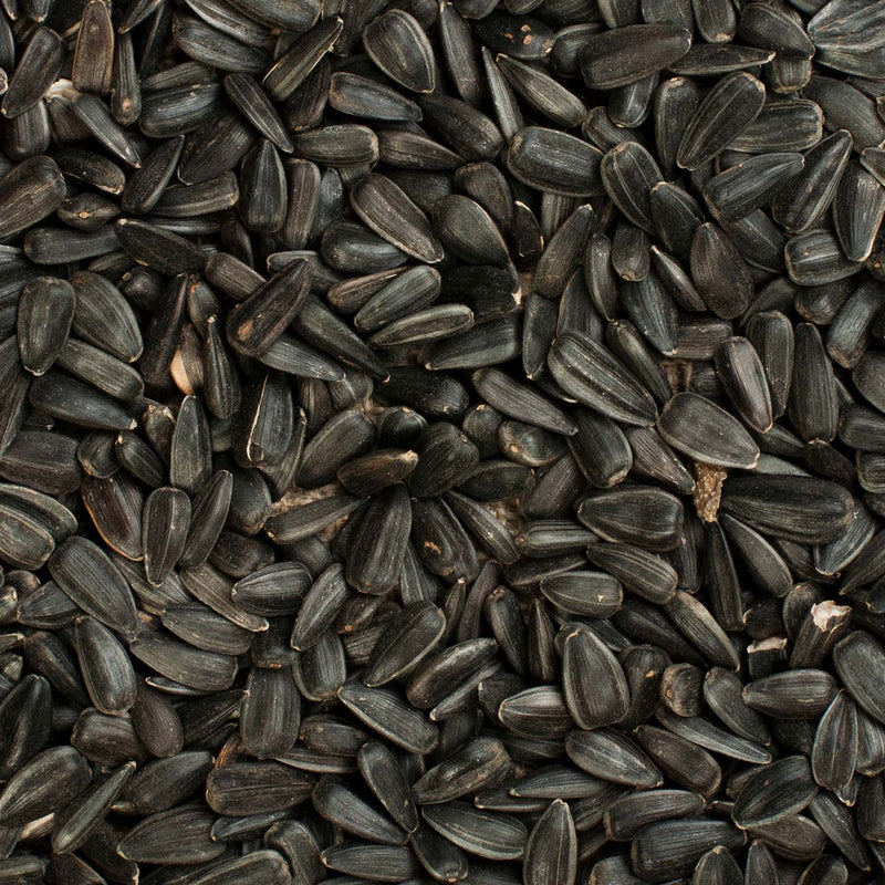 Load image into Gallery viewer, Black Oil Bird Seed 🍁