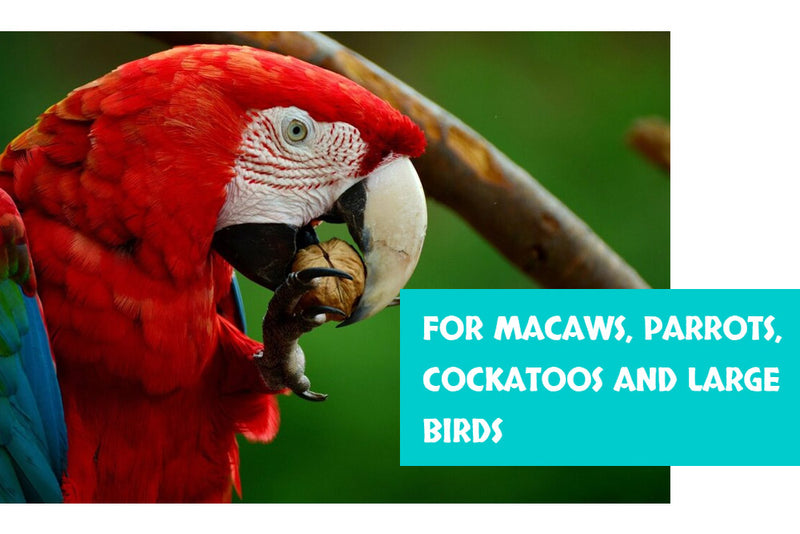 Load image into Gallery viewer, Goldenfeast Caribbean Blend