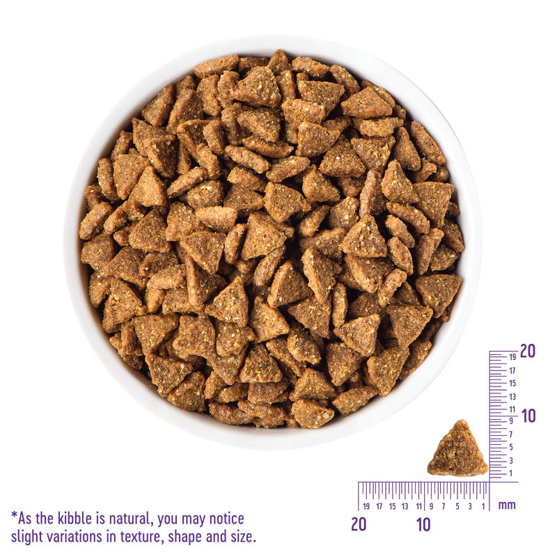 Load image into Gallery viewer, Wellness Complete Health Small Breed Senior Turkey Dry Dog Food 4 lbs