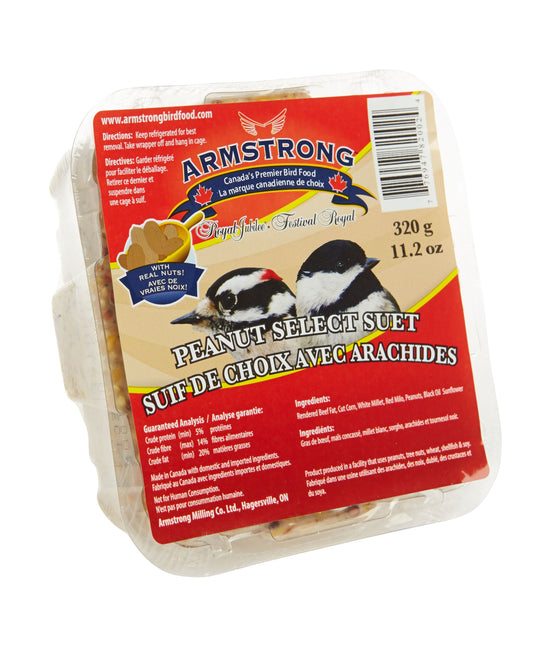 Armstrong Royal Jubilee Peanut Select Suet 1 pc / 3 pc - Exotic Wings and Pet Things