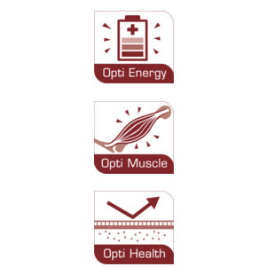 Load image into Gallery viewer, Versele-Laga Plus I.C. Energy