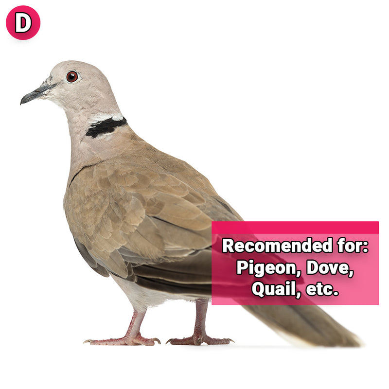 Load image into Gallery viewer, CeDe Protein Mix Supplement for All Birds - Exotic Wings and Pet Things