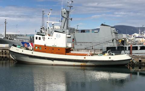 Load image into Gallery viewer, Icelandic+ Short Cod Skin Pieces 1 lb Bulk Bag