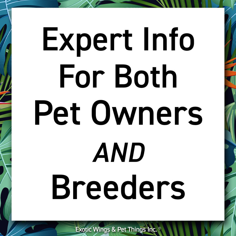 Load image into Gallery viewer, Avian Consulting