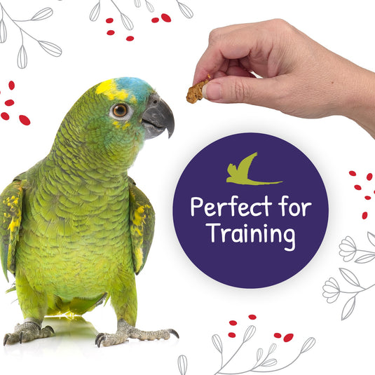 Little Foragers Treats Chili Snaps - Parrot 82731🍁