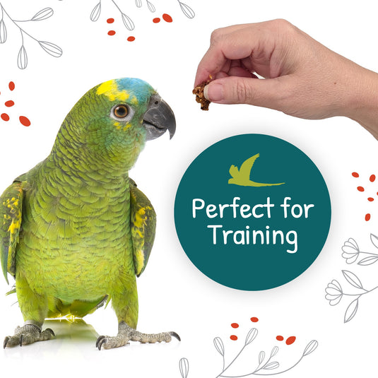 Little Foragers Treats Veggie Nuggets - Parrot 🍁