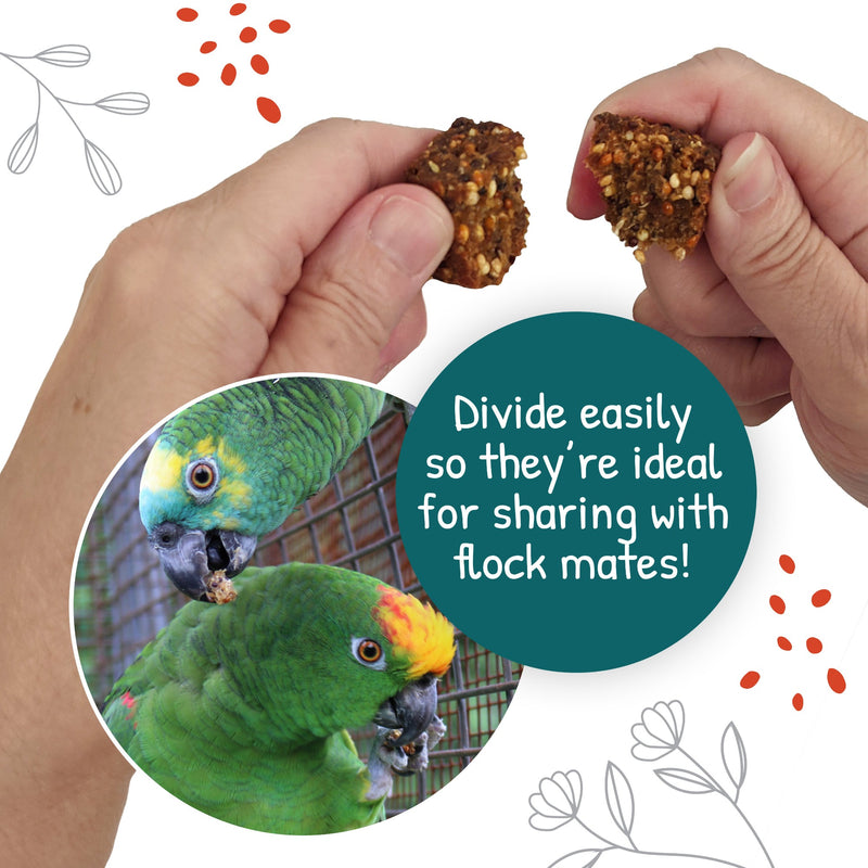 Load image into Gallery viewer, Little Foragers Treats Veggie Nuggets - Parrot 🍁