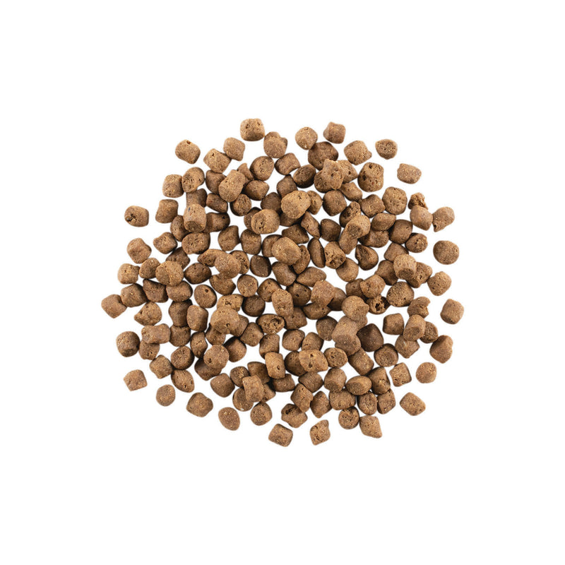 Load image into Gallery viewer, GO! Carnivore Grain Free Lamb & Wild Boar Cat Recipe 🍁