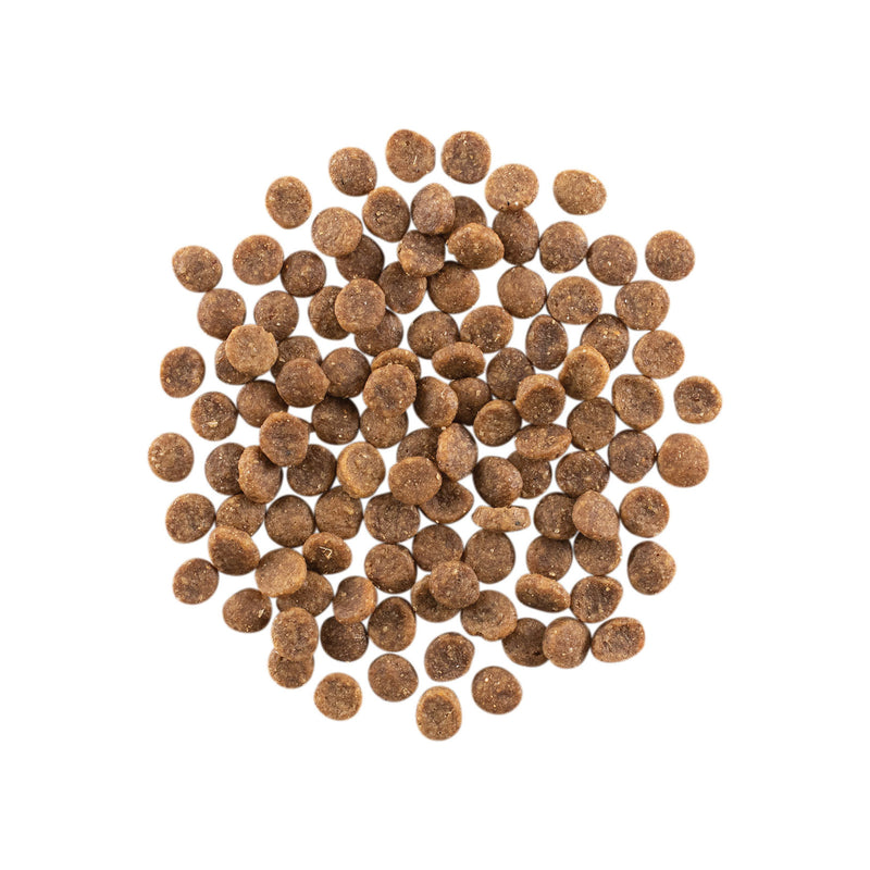 Load image into Gallery viewer, GO! Carnivore Grain Free Salmon & Cod Cat Recipe 🍁