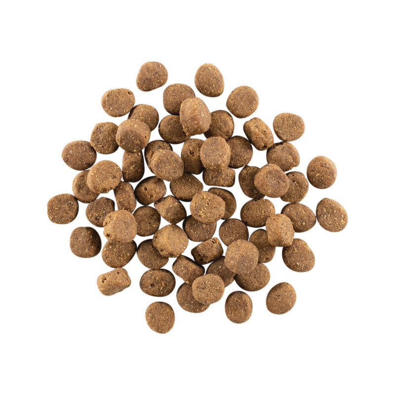 Load image into Gallery viewer, GO! Carnivore Grain Free Dog Food -  Salmon & Cod 🍁