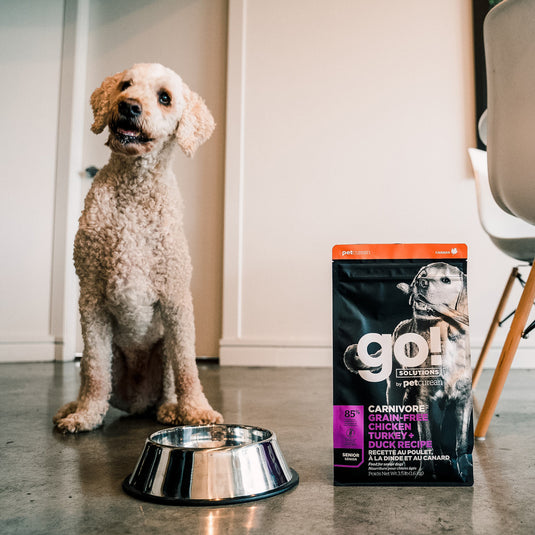 GO! Carnivore Grain Free Senior Dog Food - Chicken, Turkey & Duck 🍁
