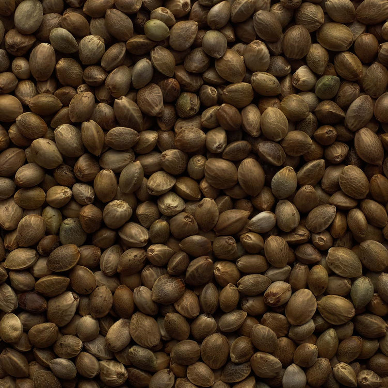 Load image into Gallery viewer, Sterilized Hemp Seed - Superfood Seed 🍁