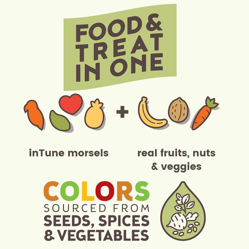 Load image into Gallery viewer, Higgins Intune Harmony Conure & Cockatiel Enrichment Diet