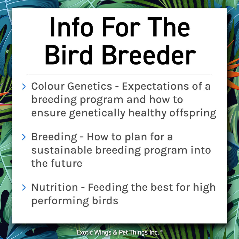 Load image into Gallery viewer, Avian Consulting
