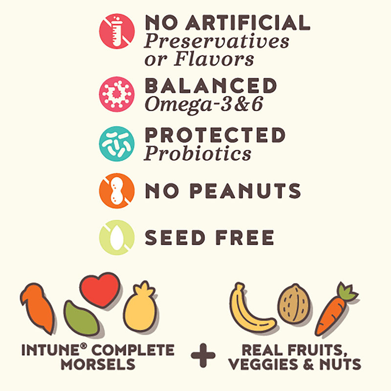 Load image into Gallery viewer, Higgins Intune Harmony Conure & Cockatiel Enrichment Diet