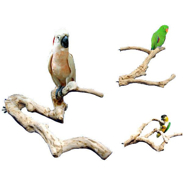 Java Multi-Branch Coffee Wood Parrot Perch – Exotic Wings Pet