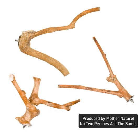 Java Multi-Branch Coffee Wood Parrot Perch