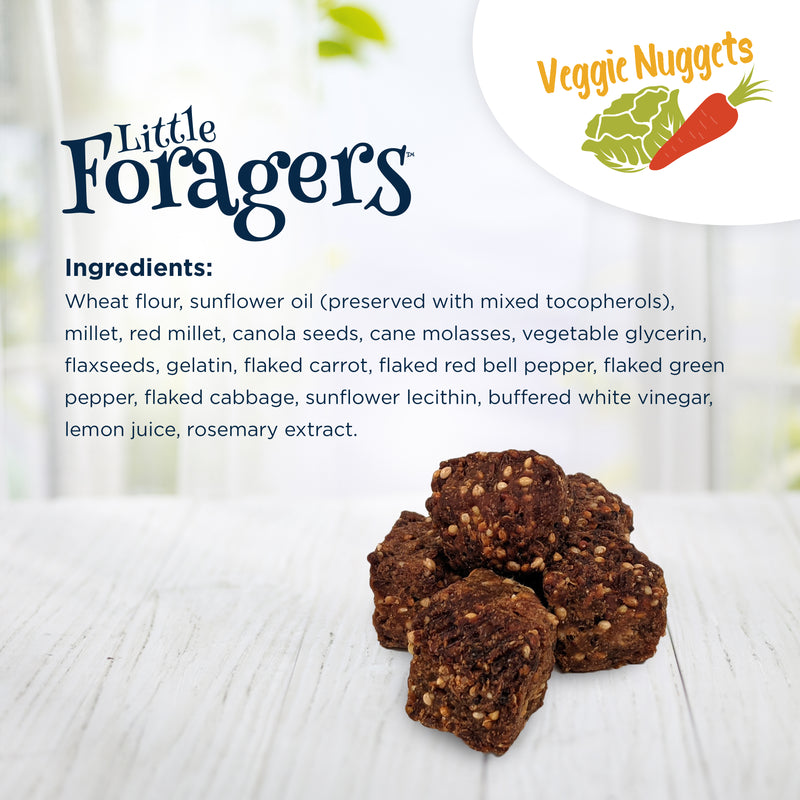 Load image into Gallery viewer, Little Foragers Treats Veggie Nuggets - Parrot 🍁