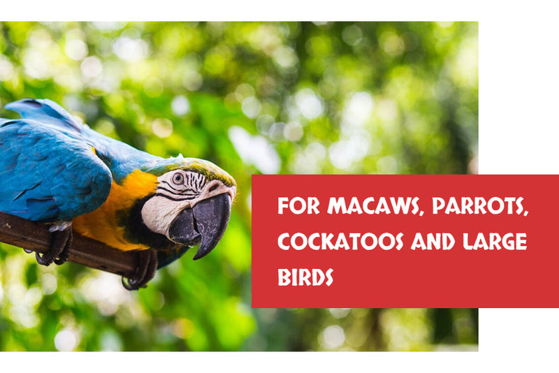 Load image into Gallery viewer, Goldenfeast Madagascar Blend