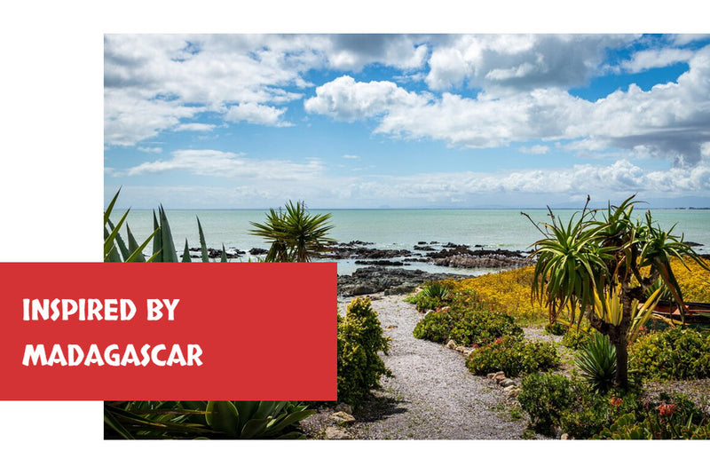 Load image into Gallery viewer, Goldenfeast Madagascar Blend