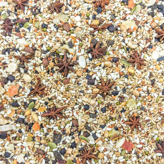 Higgins Mayan Harvest Yucatan Seed Mix