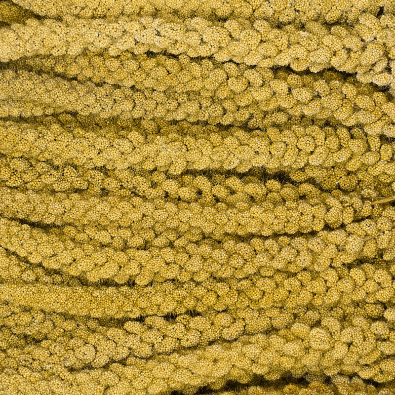 Load image into Gallery viewer, Premium Top #1 Grade Spray Millet ๐