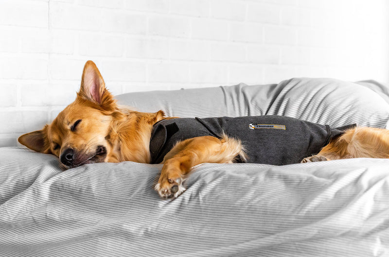Load image into Gallery viewer, ThunderWorks ThunderShirt Sport Anxiety Jacket for Dogs