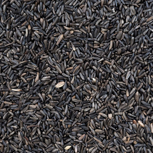 Sterilised Nyjer Seed 🍁