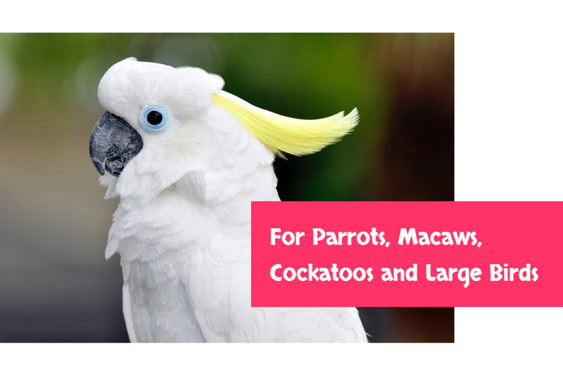 Load image into Gallery viewer, Goldenfeast Paradise Treat Mix